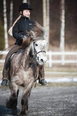 Katla is beautiful as a snowqueen.
Has four clear gaits.